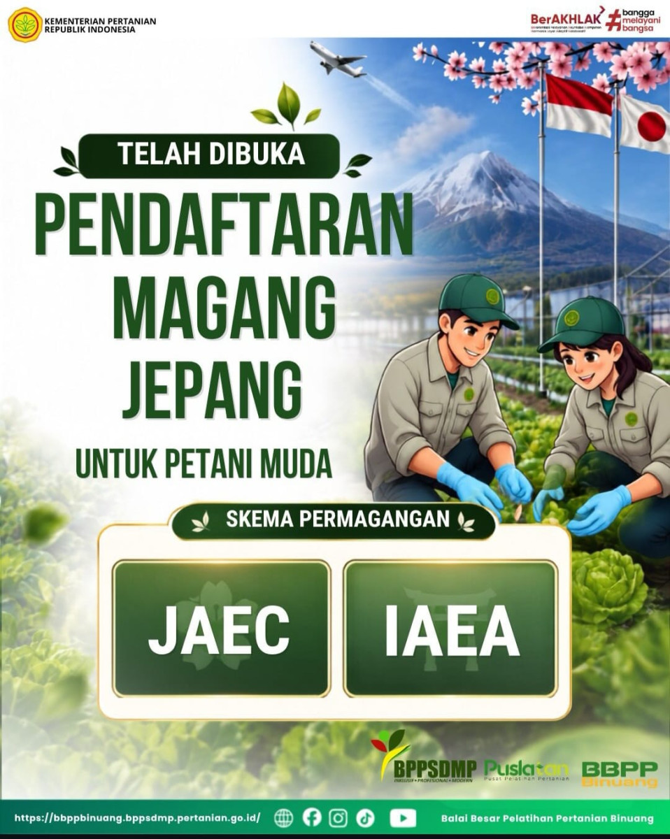 Kesempatan Emas: Alumni UEU, Raih Pengalaman di Jepang